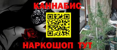 прущие грибы Будённовск