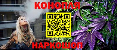 прущие грибы Будённовск