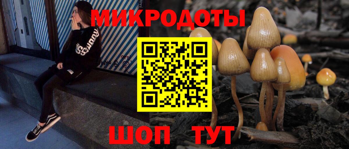 Галлюциногенные грибы GOLDEN TEACHER  Вход с VPN  Галлюциногенные грибы MAGIC MUSHROOMS  Ноябрьск 