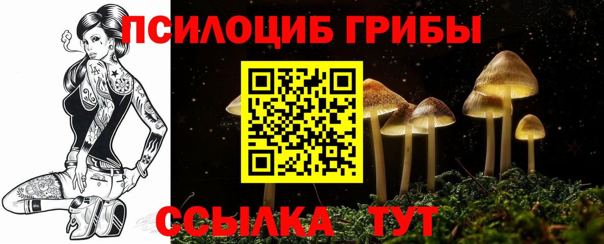 Псилоцибиновые грибы MAGIC MUSHROOMS Ноябрьск